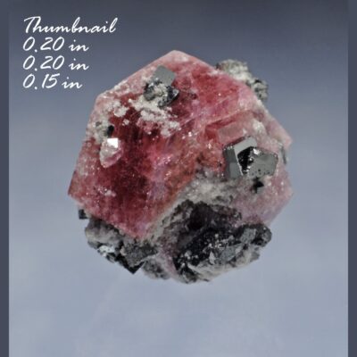 (TMMLS117) Red Beryl (also sometimes called Bixbite) with Bixbyites Location: Thomas Range Juab Co. Utah