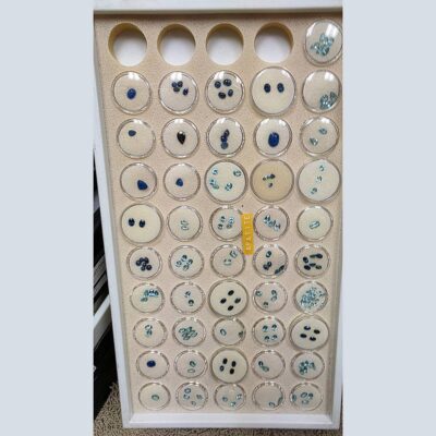 (TMMLS284) Facetted Blue Apatite From Brazil ($60/ct)