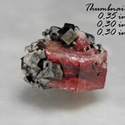 BOOK_SPECIMEN-Rare Raspberry Red Beryl (also sometimes called Bixbite) with several bixbyites - Location: Thomas Range, Juab Co., Utah.