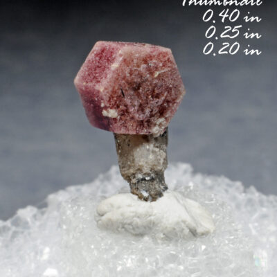 Rare Red Beryl (also sometimes called Bixbite) on Topaz Crystal - Location: Thomas Range, Juab Co., Utah.