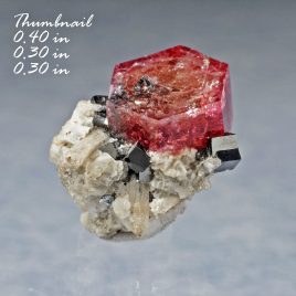 BOOK_SPECIMEN-Red Beryl & Bixbyite on Quartz and Rhyolite Matrix  – Location: Thomas Range, Juab Co., Utah.