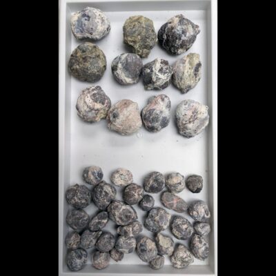 (TMMLS103) Fluorescent Dugway Geodes (Whole) By the LB