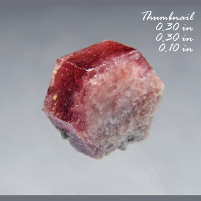 Red Beryl (also sometimes called Bixbite) with Holfertite Location: Thomas Range Juab Co. Utah (m220113_03)