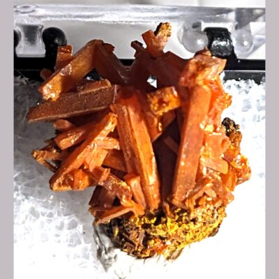 (TMMLS171) CROCOITE DUNDAS AUSTRALIA MINERALS CRYSTALS GEMS-THN (crocoite01)