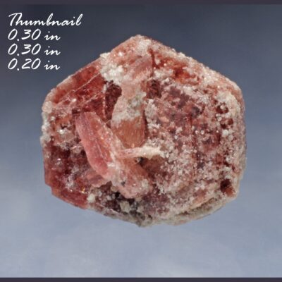 (TMMLS210) Red Beryl (Rosette, ‘Rose’) Thomas Range, Juab Co., Utah
