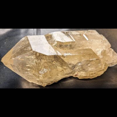 (TMMLS221) Large Smoky quartz crystal with tourmaline (tourmalated) Brazil